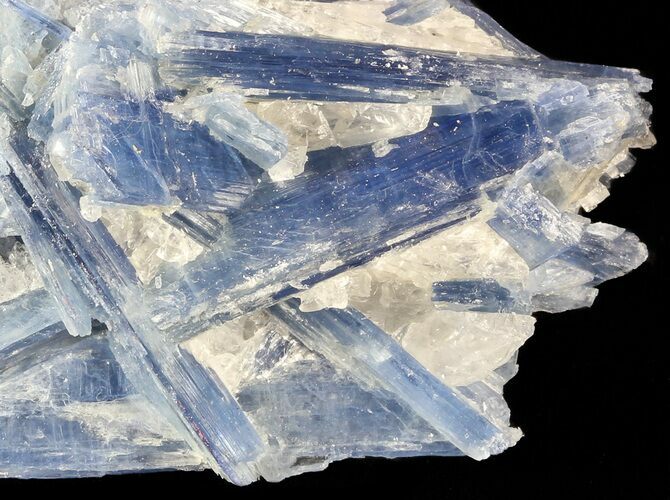 Vibrant Blue Kyanite Crystals In Quartz - Brazil #56935